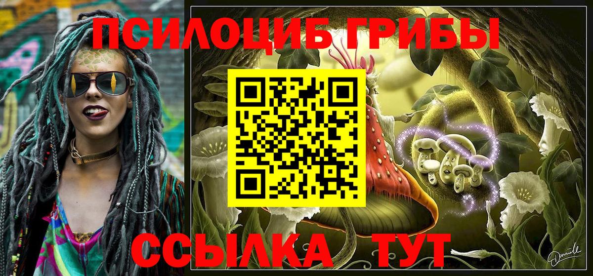 Галлюциногенные грибы прущие грибы  Вход с VPN  Галлюциногенные грибы MAGIC MUSHROOMS  Шатура 